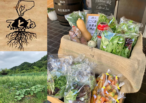 てとね野菜の無人販売